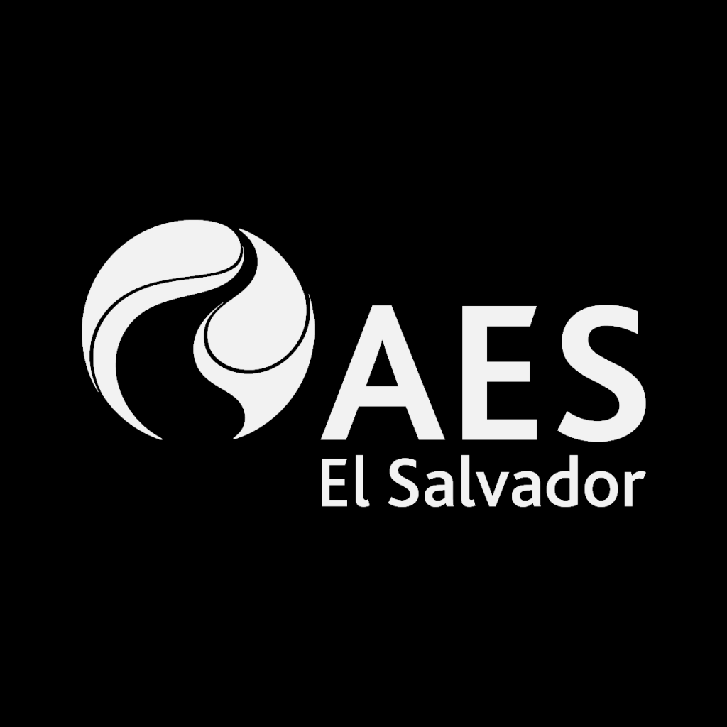 AES ES